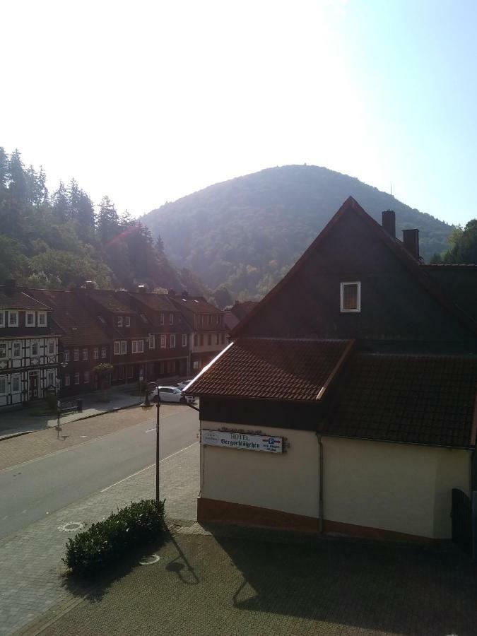 Hotel Bergschlosschen Zorge Luaran gambar